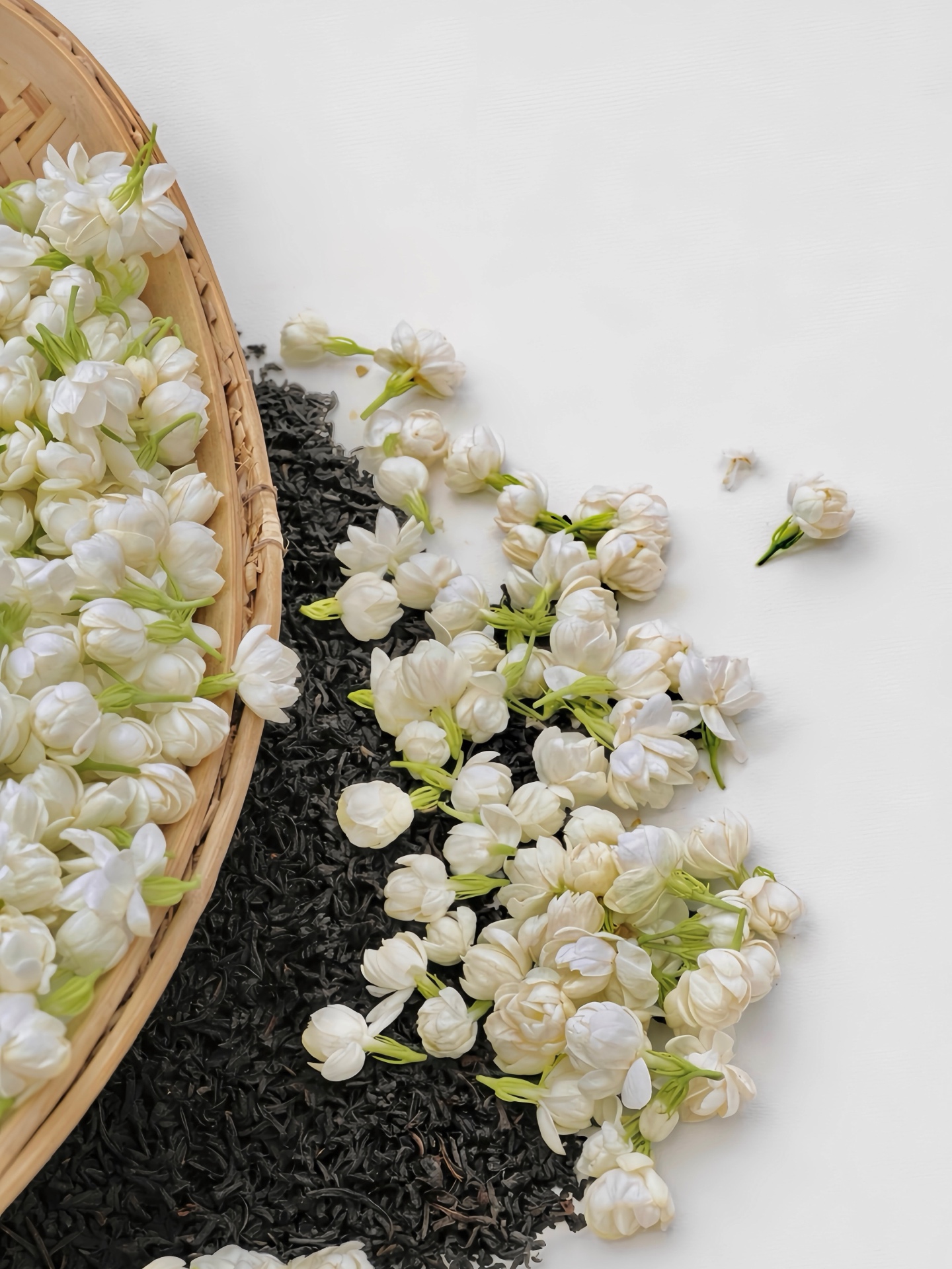 Rosée de Jasmin
